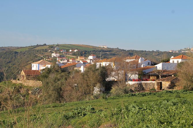 Lisbon Southern Region (Fernão Pó) Wine Tasting Private Tour - Quinta da Murta and Bucelas Arinto: a Roman-era grape story