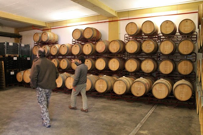 Lisbon Southern Region (Fernão Pó) Wine Tasting Private Tour - Timing, pace, and small practical tips that pay off