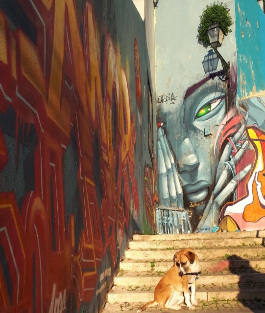 Lisbon Street Art Lovers Walk - Practical tips: shoes, water, rain, and bringing a stroller (or not)