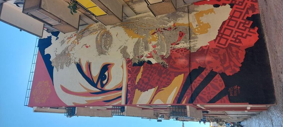 Lisbon Street Art Lovers Walk - Street Art Walk Through Mouraria and Graça: the best neighborhoods for wall-hunting