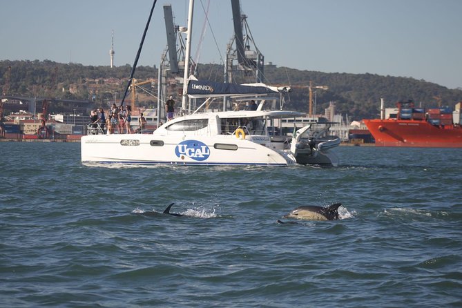 Lisbon: Sunset Cruise With Drinks on Spacious Yacht - The crew experience: friendliness, quick context, and a low-pressure vibe