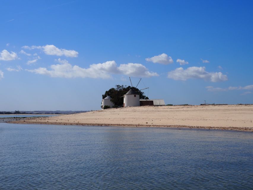 Lisbon: Tagus Estuary Nature Reserve Birdwatching Boat Tour - Key highlights to know before you go