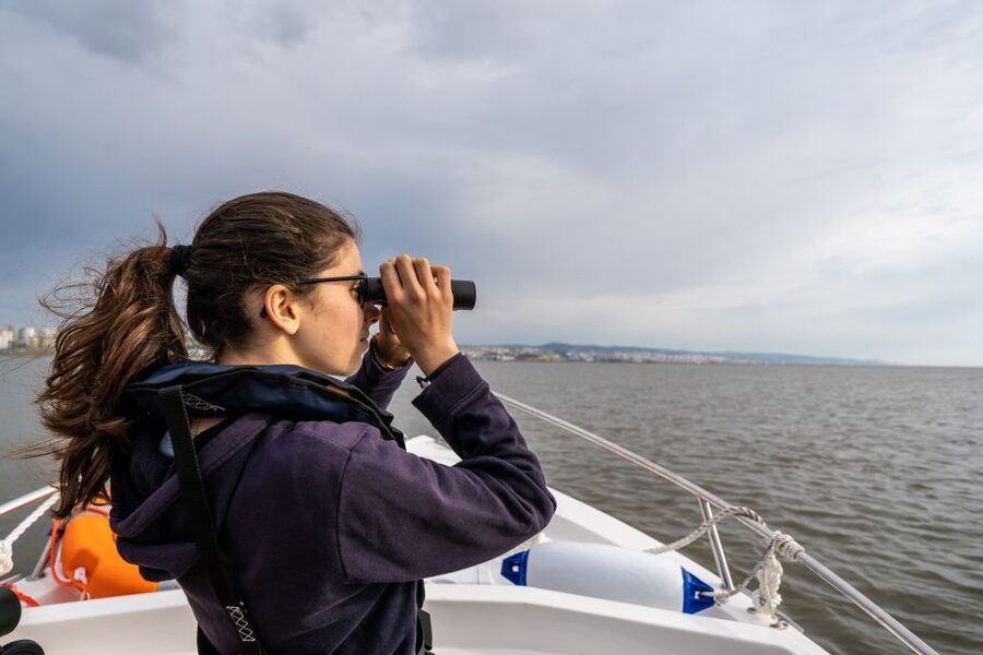 Lisbon: Tagus Estuary Nature Reserve Birdwatching Boat Tour - The Tagus Estuary Nature Reserve: the 2.5-hour heart of the tour