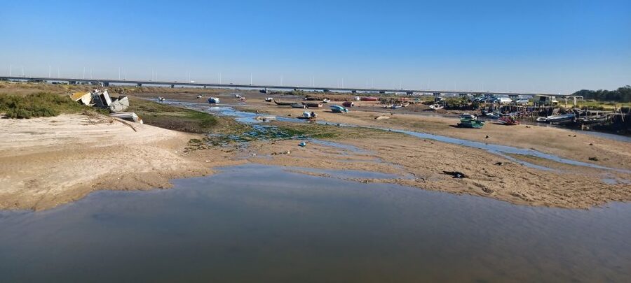 Lisbon: Tagus Estuary Nature Reserve Birdwatching Boat Tour - Who this Lisbon boat tour suits best