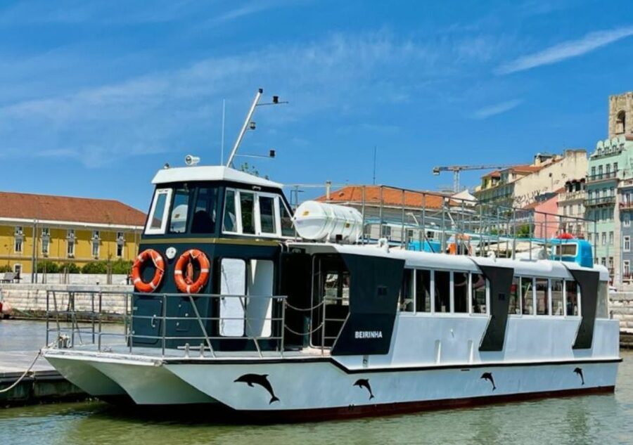 Lisbon: Tagus River Cruise to the Ocean & Dolphin Watching - Weather, Timing, and Sea-Sickness Reality Checks