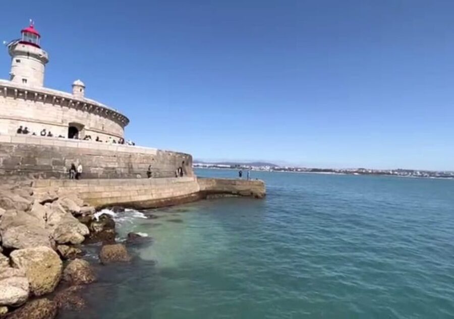 Lisbon: Tagus River Cruise to the Ocean & Dolphin Watching - Should You Book the Tagus-to-Ocean Dolphin Cruise?
