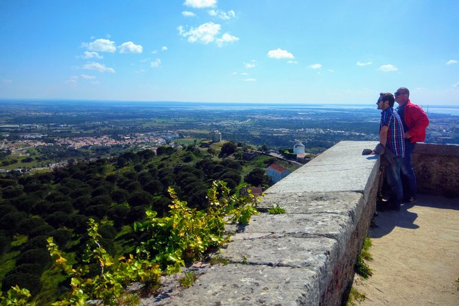 Lisbon & The South Side Wine Regions Private Luxury Tour - Who This Tour Fits Best—and Who Might Skip It