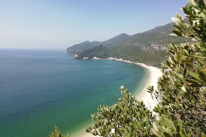 Lisbon & The South Side Wine Regions Private Luxury Tour - Should You Book This Tour?