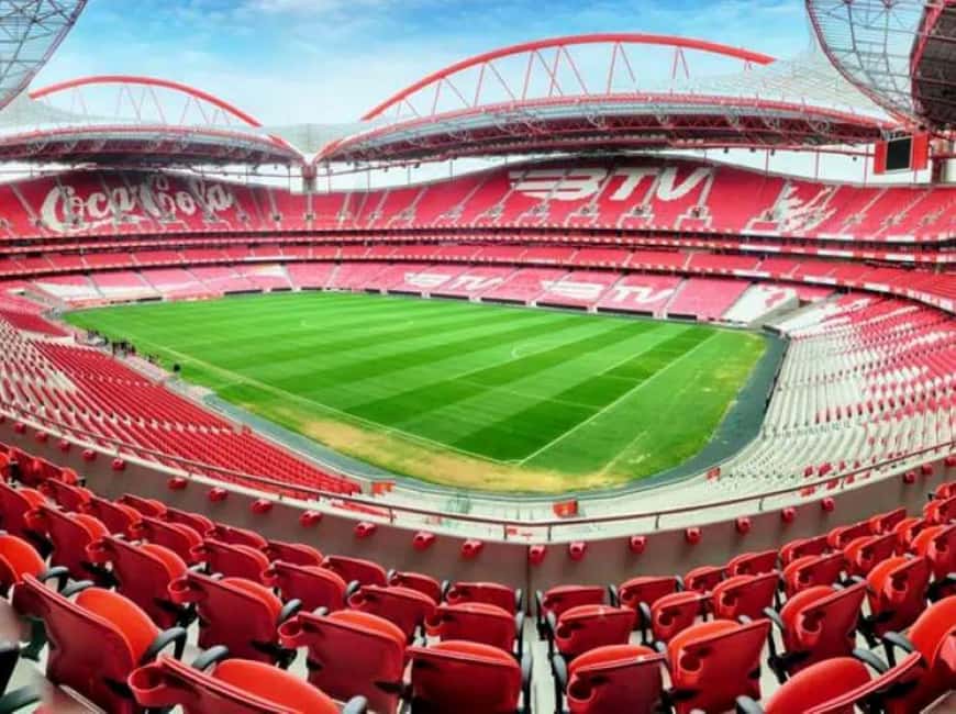 Lisbon: Ticket for a visit to Estádio da Luz + Museum - Estádio da Luz Guided Tour: What You Actually Get to See