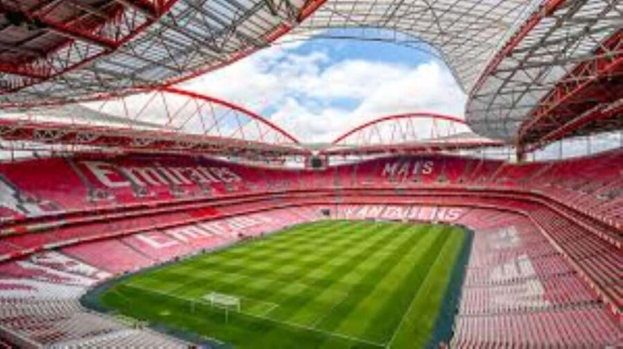 Lisbon: Ticket for a visit to Estádio da Luz + Museum - Walking the Players’ Tunnel and Stepping Onto the Pitch