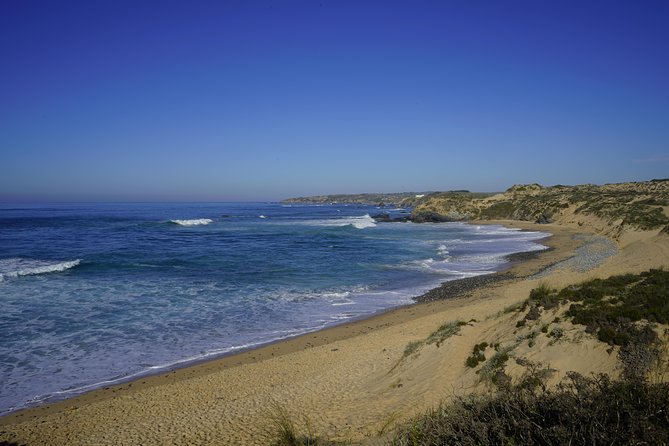 Lisbon to Algarve with stops along the coast - Stop 2: Cabo Sardão Lighthouse and the Storks on Sea Cliffs