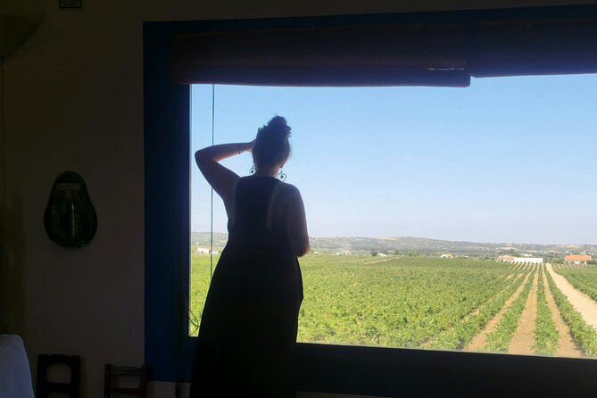 Lisbon to Evora: Cork Factory Visit and Wine Tour + hotel pick-up - Key highlights at a glance