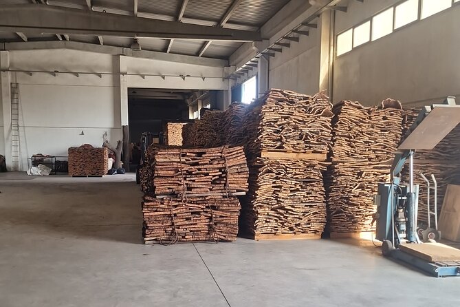 Lisbon to Evora: Cork Factory Visit and Wine Tour + hotel pick-up - Évora walking time: Temple of Diana, Bones Chapel, and medieval streets