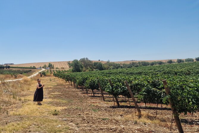 Lisbon to Evora: Cork Factory Visit and Wine Tour + hotel pick-up - Sé de Évora Cathedral: what to notice in 45 minutes