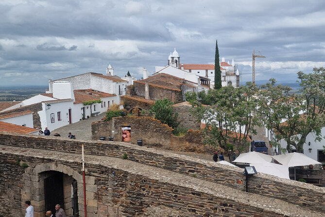 Lisbon to Evora: Cork Factory Visit and Wine Tour + hotel pick-up - Rota dos Vinhos do Alentejo: the PDO/PGI story behind the bottle seal
