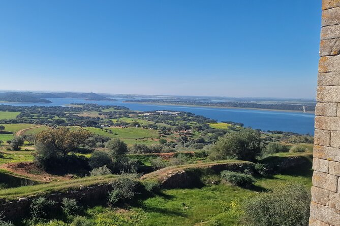 Lisbon to Evora: Cork Factory Visit and Wine Tour + hotel pick-up - Pacing, price, and what’s included for $248.41