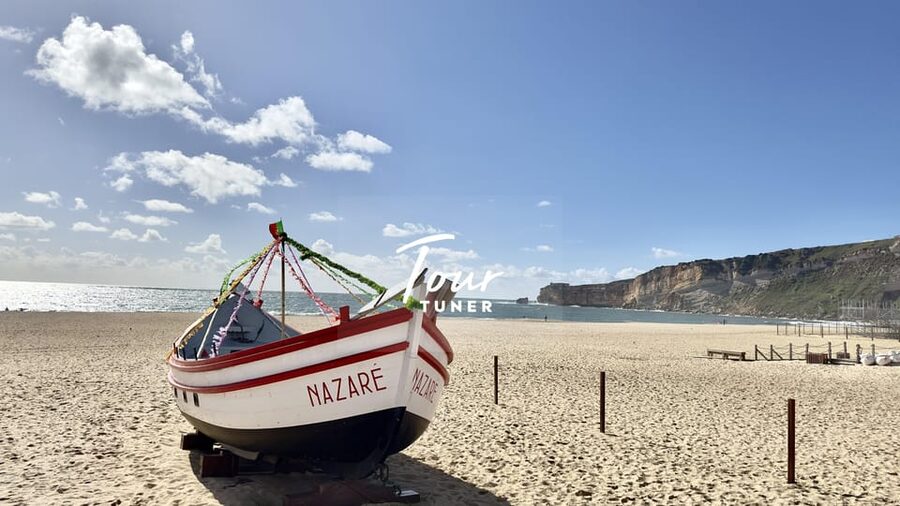 Lisbon: To Porto, Day Trip & Transfer with Stops in 3 Cities - Price and value: what $250 buys you