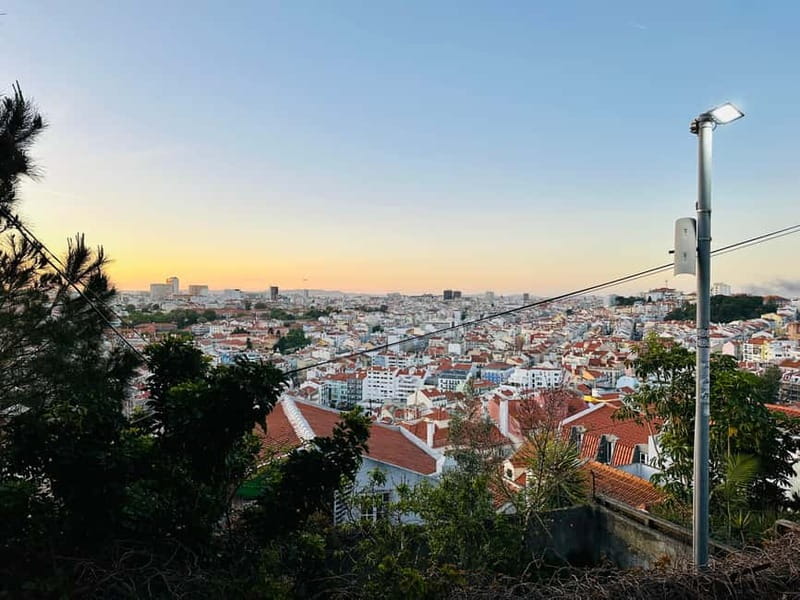Lisbon Tuk Tuk Tour 1 Hour 30 Min - Pickup and drop-off: Museu do Fado to Praça do Comércio
