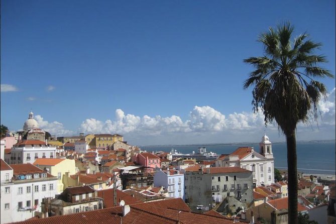 Lisbon walking tailored private tour (half day) - The guide makes the hard parts easier: stairs and steep streets