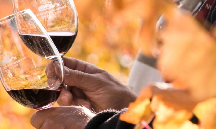 Lisbon Wine Tasting - How the One-Hour Tasting Really Works