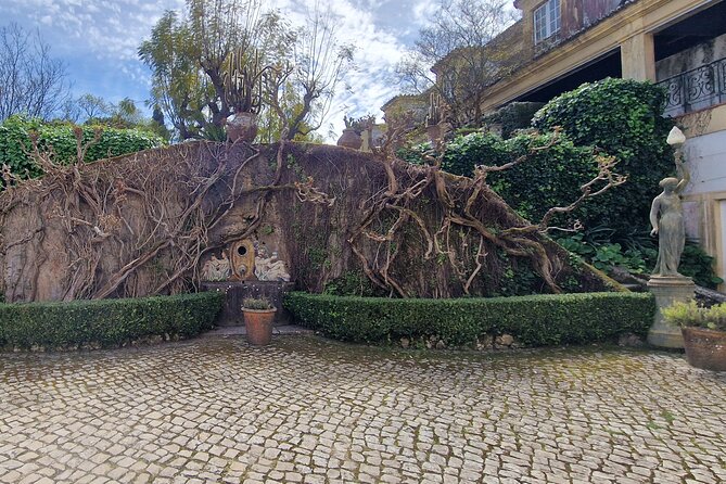 Lisbon Wine Tour: Azeitao, Setubal and Arrabida and Hotel Pickup - Azeitão Lunch Break: Plan Ahead Because It’s Not Included