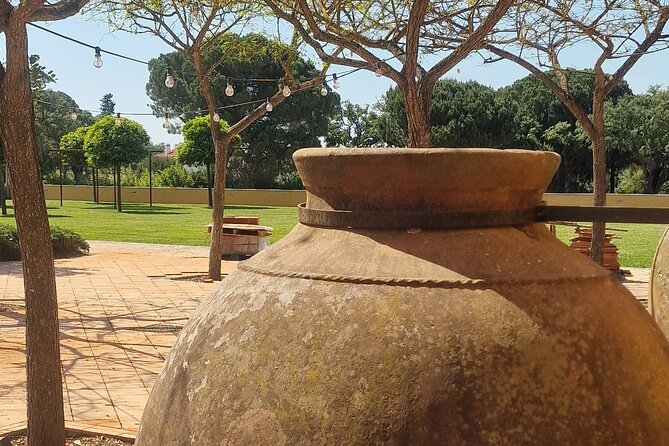 Lisbon Wine Tour: Azeitao, Setubal and Arrabida and Hotel Pickup - Arrábida Natural Park: Mediterranean Flora and Coastal Air