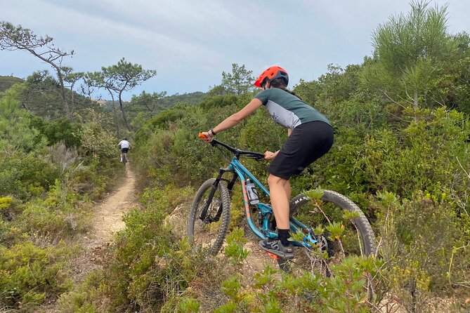 Lizandro Trails - Mountain Biking - Key highlights you’ll care about