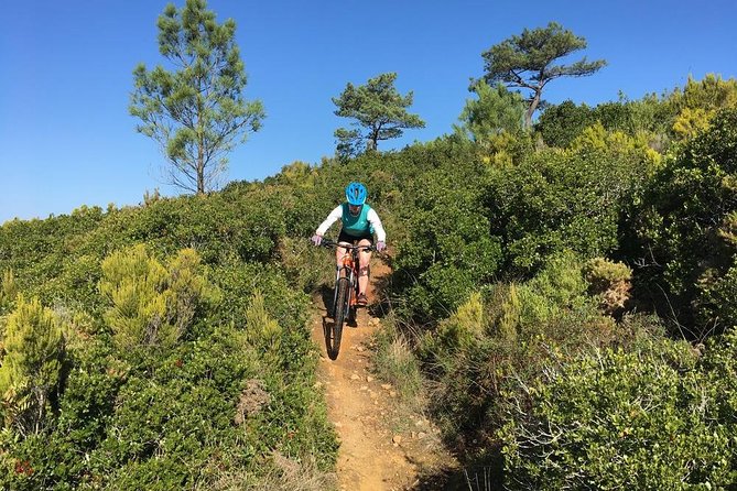 Lizandro Trails - Mountain Biking - Lizandro Trails basics: what the ride is really like