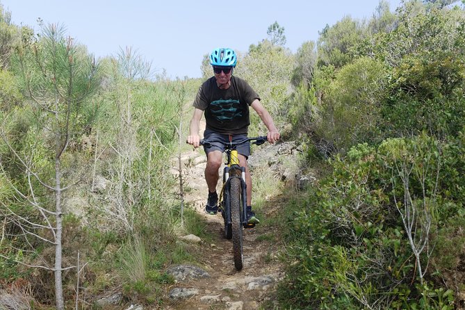 Lizandro Trails - Mountain Biking - Caminho dos Mortos: oak-and-pine singletrack with real singletrack feel