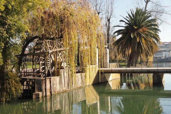 Medieval Knights Templar and Alcobaça Private Day Trip from Lisbon - Why Tomar and Alcobaça belong together on your Lisbon trip