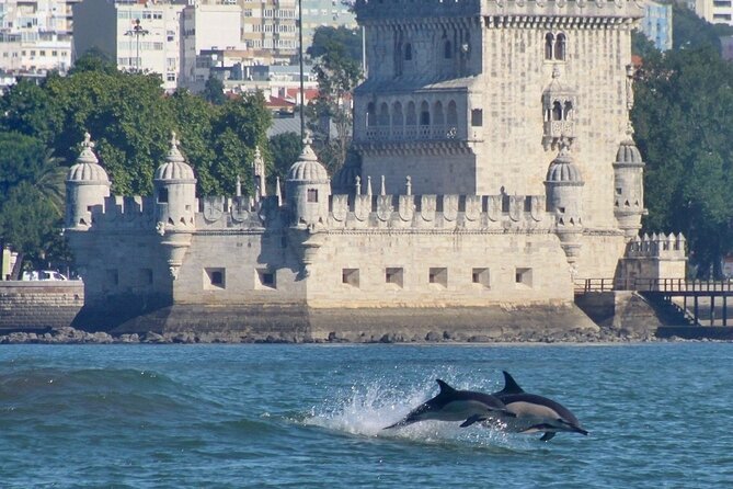 Meet the Lisbon Dolphins - Dolphin Watching in Lisbon - Comfort reality: pack for wind, spray, and cold August water