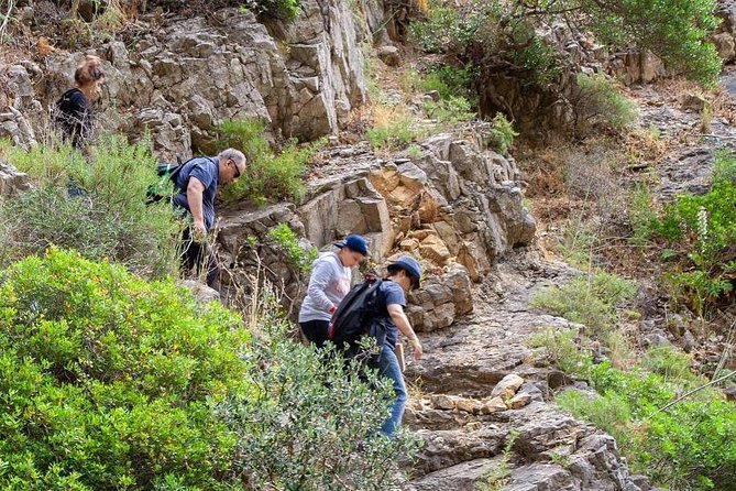 Mindful Coastal Hike in Arrabida – Secret Beach by the Atlantic - Transport, timing, and how to plan your day