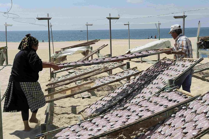 Natural Caves - Alcobaça - Nazaré - West Coast - Óbidos start in Lisbon private - Nazaré: fish village time plus bay views