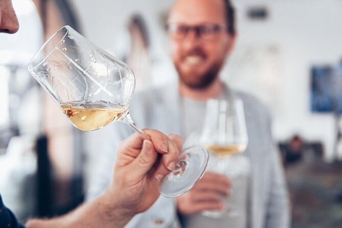Non-Alcoholic Wine Tasting with an Expert - Key Highlights You’ll Actually Feel During the Tasting