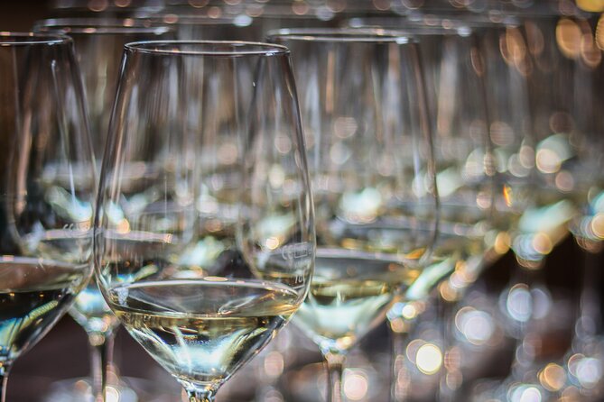 Non-Alcoholic Wine Tasting with an Expert - Sober Wine, Real Flavor: Why This Lisbon Tasting Works