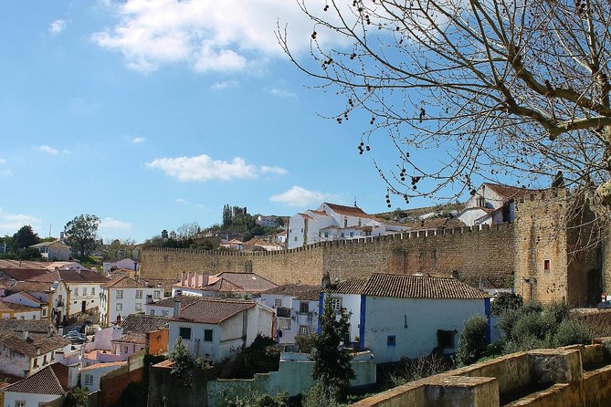 Óbidos historic village and Mafra Palace Private Tour - Price and value: what $138.16 buys you