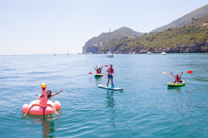 Ocean Bliss: Full Day Arrábida Private Yacht Tour from Lisbon - Dolphin and Wildlife Odds: How to Make the Most of That Chance