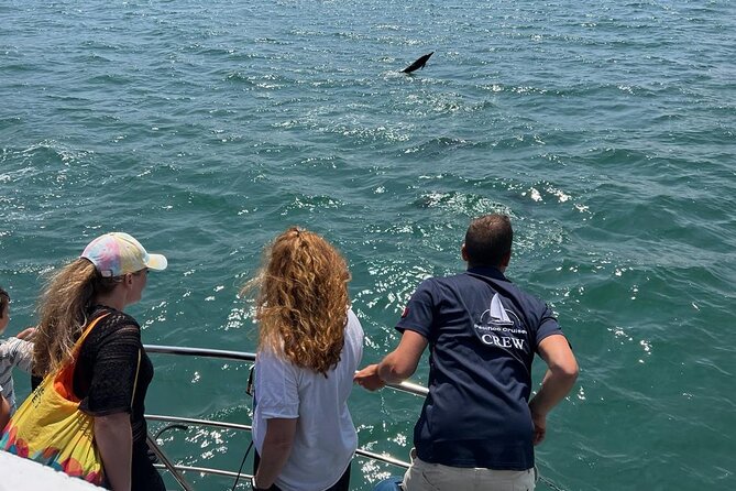 Panoramic Boat Tour with Drinks and Music - Dolphins Near the Foz of the Tagus: Best Odds, No Guarantees