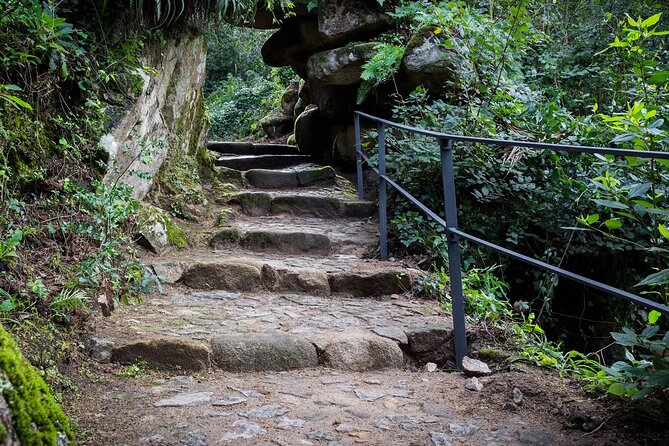 Park and Palace of Monserrate - Your 2-Hour Visit: How to Pace the Park and Palace