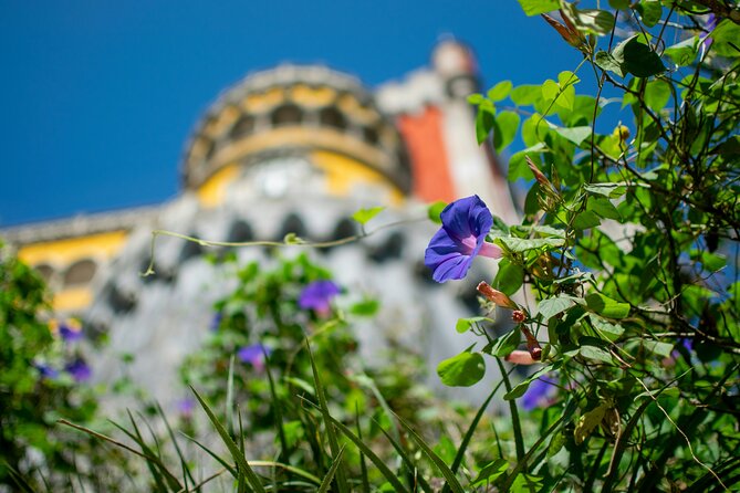 Pena Palace and Park Entry Tickets in Sintra - The imaginary castle: battlements, towers, tunnel, and a drawbridge