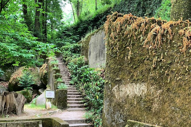 Pena Palace and Villa de Sintra Private Half Day Tour - What You Might See Beyond the Two Stops (Ask Your Guide)