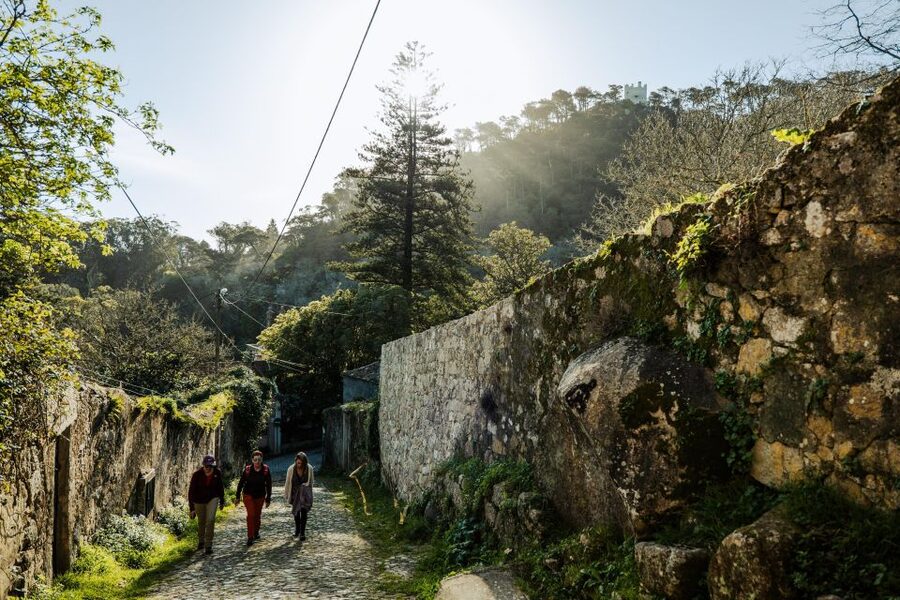 Pena Palace, Moorish Castle,Quinta ad Regaleira:Walking tour - Why a Guided Walk in Sintra Beats the Usual Rush