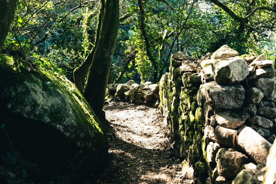 Pena Palace, Moorish Castle,Quinta ad Regaleira:Walking tour - Pena Palace: Romantic Architecture, On a Tight Timeline