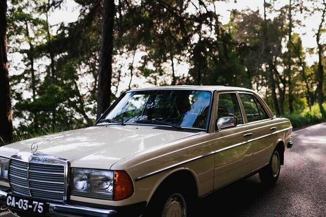 Pena Palace & Sintra Full Day -Private Tour in Classic Car - Quinta da Regaleira vs. Monserrate: Choose the Mood
