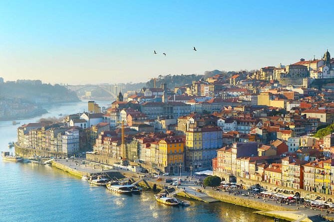 Porto Private Personalized Full Day Journey from Lisbon - Taylor’s Port Wine Cellars: Tasting Time and How to Get Your Money’s Worth