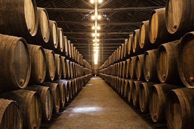 Porto Private Tour from Lisbon with Douro Cruise and Wine Tasting - Price and value: what $512.89 per person buys you