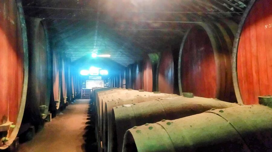 Portuguese Wine History & Amazing Landscape - Key things to know before you go
