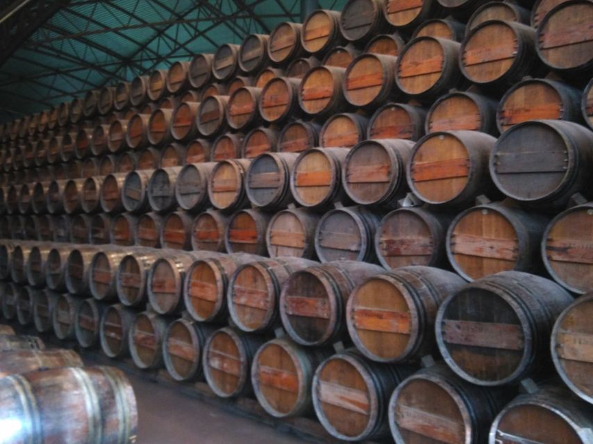 Portuguese Wine History & Amazing Landscape - Arrábida National Park and Portinho Beach: Spring Colors and Real Break Time