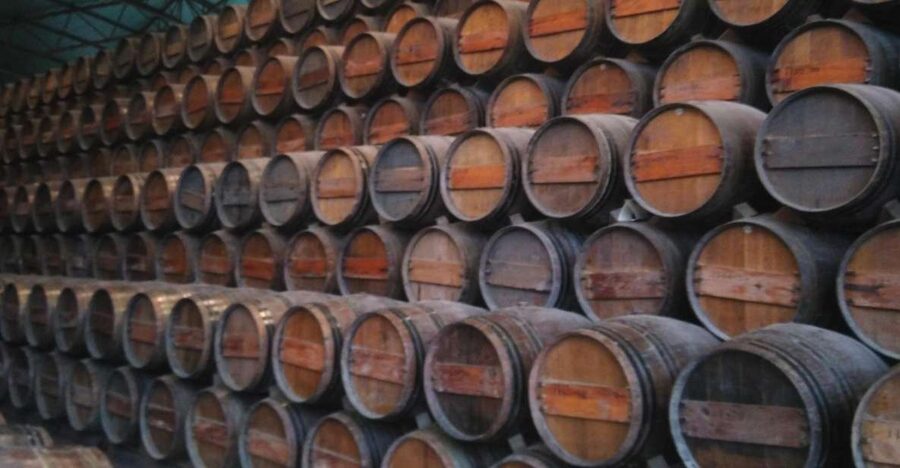 Portuguese Wine History & Amazing Landscape - Palmela Wine Country: Casa Mãe, Then JMF for Moscato Roxo