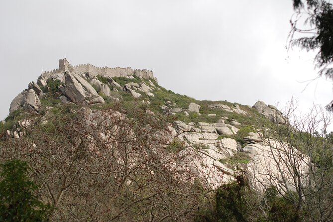 Private 1 hour and half Sintra Guided Tour - Sintra National Palace: Manueline and Mudéjar (Plus Service Rooms Intact)